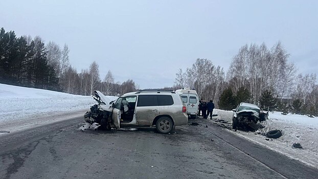 Мужчина погиб в тройном ДТП на трассе в Новосибирской области