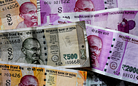 В Индии рассказали, что Россия сделала с «зависшими» в республике рупиями