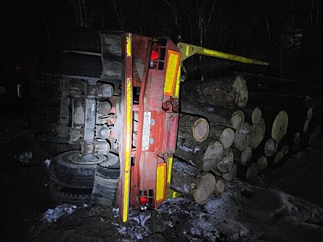 Тягач насмерть сбил девочку на трассе в Приморье