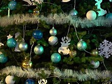 Для юных пензенцев подготовили «Супер Елку» в «Кукольном доме»