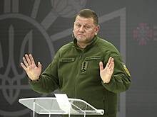 Залужный отстранил советницу за слова о неизбежности смерти для солдат ВСУ