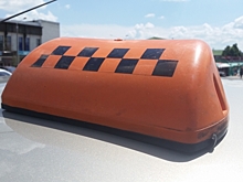 Двое воронежцев в поле подсолнечника жестоко убили таксистку ради авто, мобильника и небольшой суммы денег