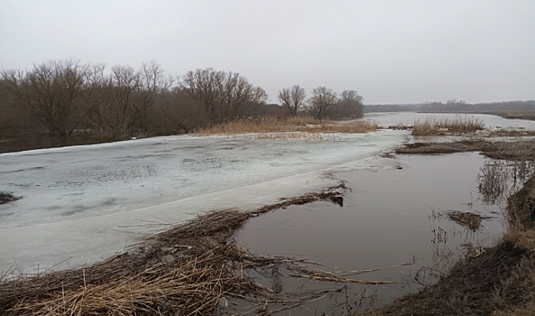 В Волгоградской области зафиксирован сезонный подъем уровня воды в реках