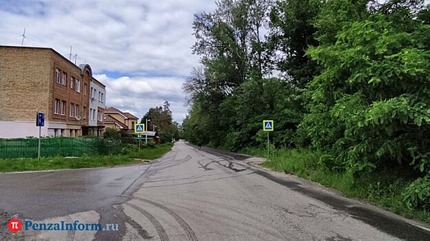 В Пензе ищут свидетелей ДТП с пешеходом на улице Мичурина