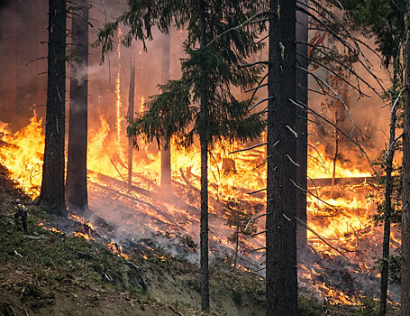 Дым над водой: ученые оценили влияние лесных пожаров на атмосферу Байкала