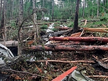 МАК подготовил отчет по крушению Ан-24 в Амурской области