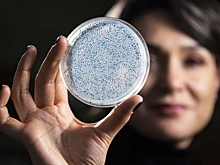 Биологи воскресили фермент возрастом 3,2 миллиарда лет