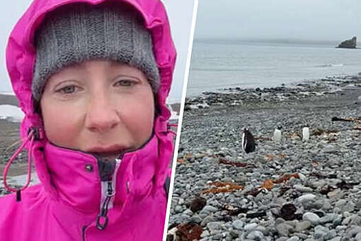 Телеведущая Барановская заявила, что уже три дня не может вылететь из Антарктики