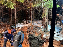 В Петербурге найдены останки журналиста Максимова, убитого в 2004 году