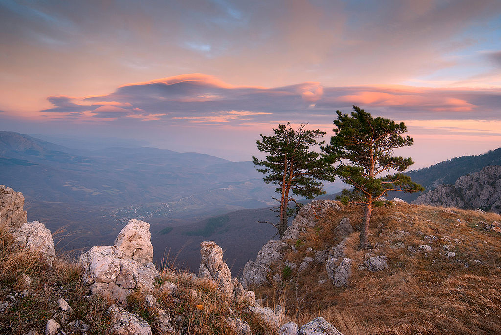 Крымский заповедник, Алушта, Крым, Россия, Европа