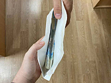 В Курской области директор школы незаконно забрала у пяти учителей 149,5 тыс.рублей