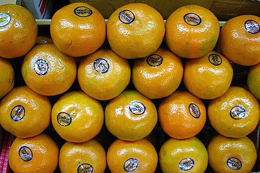 Ретейлеры не ждут дефицита мандаринов после ограничений поставок из Турции