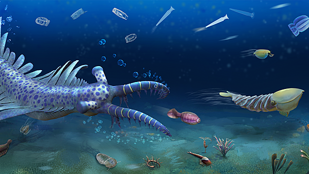 Ученые обнаружили 90 странных новых видов, живших 512 млн лет назад