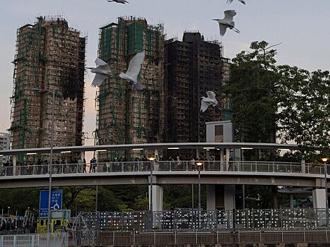 SCMP: более 80 питомцев ищут после пожара в Гонконге