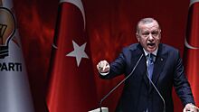Эрдоган сообщил о согласии Запада с одной идеей Турции