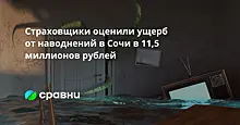 Страховщики оценили ущерб от наводнений в Сочи в 11,5 миллиона рублей