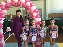 Гимнастки Детско-юношеской спортивной школы прибыли из Коломны с победами