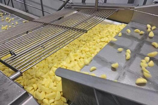 В Тюменской области открыли завод по переработке картофеля