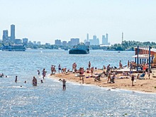 Москвичам рекомендовали не купаться в линзах из-за обитающей в водоемах опасной амебы