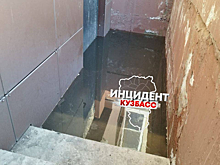 Двенадцатиэтажка в Кемерове пропахла фекалиями