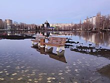 Парк «Центральный» в Балакове после половодья превратился снова в «поле дураков»