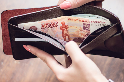 РБК: Росстат закажет научную работу для изменения учета доходов граждан РФ