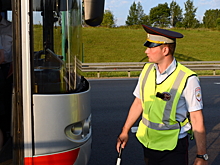 Гневливый динозавр накинулся на инспектора ГИБДД