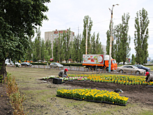 В Воронеже на месте Остужевского рынка появился сквер