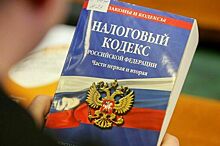 В России предложили смягчить наказание за неуплату налогов