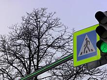 Дополнительные светофоры обезопасят жителей