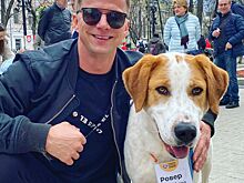 Фанаты сексуального актера из Костромы восхитились его любовью к животным