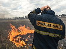 5 часов тушили пожар в Талдомском округе, произошедший из‑за поджога травы