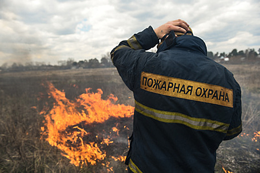 Один лесной пожар произошел в Подмосковье с начала лета