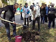 В Самаре в рамках Всероссийской акции «Дерево Победы» посадят 900 деревьев