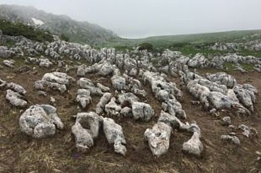 Видеоролик об Адыгее покажут на международной выставке в Москве