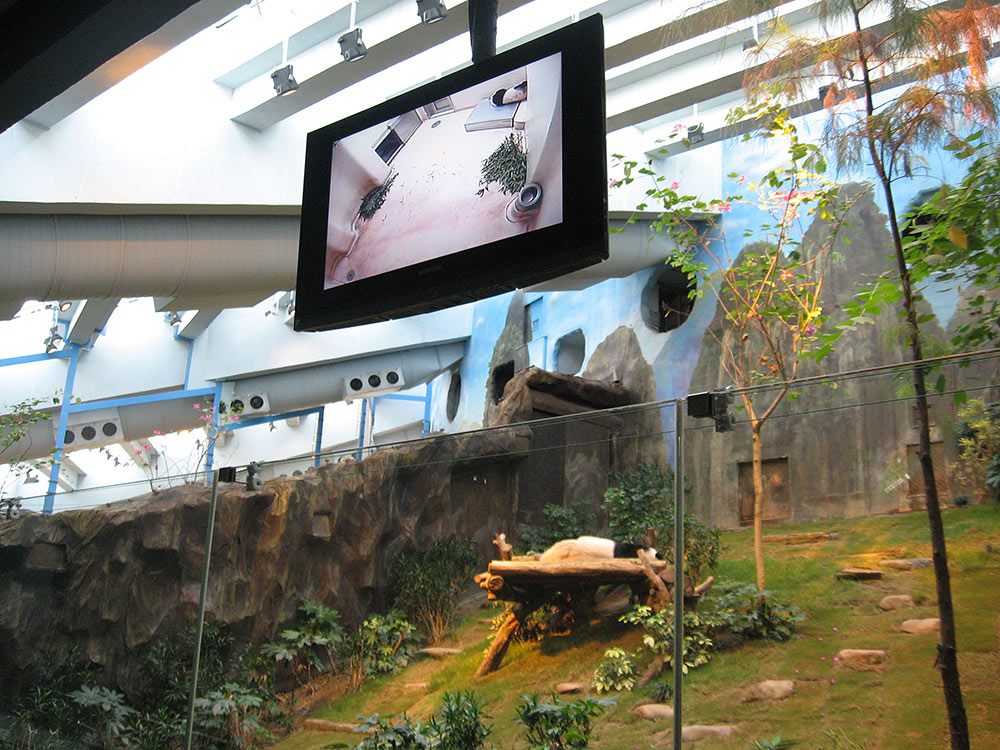 Парк развлечений Ocean Park, Гонконг, Азия