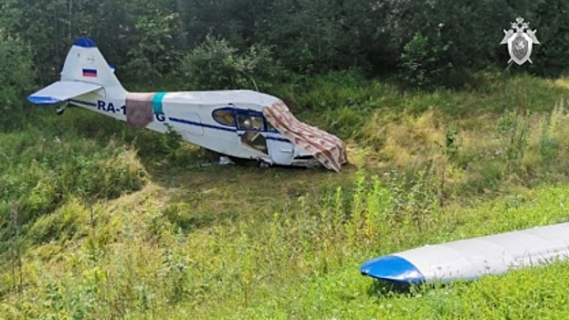 Стали известны подробности падения самолёта на федеральной трассе в Приамурье