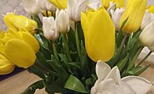 В Курске 7 и 8 марта в автобусе будут дарить цветы женщинам