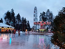 Лед тронулся: где в Петербурге можно покататься на коньках уже в ноябре