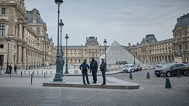 Один из подозреваемых в ограблении Лувра оказался интернет-знаменитостью