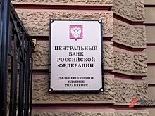 В России зарегистрирована новая платежная система, ее основатель – бизнесмен из Владивостока