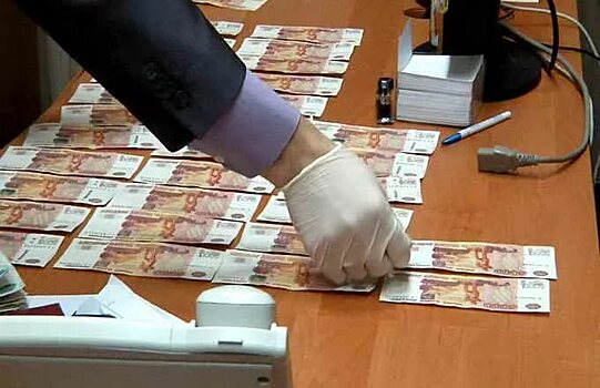 В МВД отметили 12-кратный рост среднего размера взятки на Северном Кавказе
