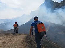 Глава МЧС Крыма рассказал о пожарах, произошедших на прошлой неделе