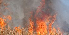 В Ростове с начала года в пожарах погибли 20 человек