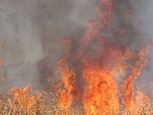 В Ростове с начала года в пожарах погибли 20 человек