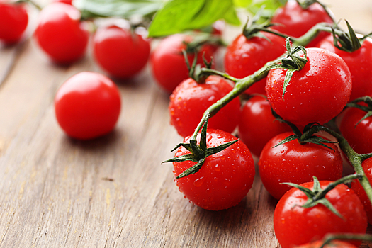 Почему помидоры вредны для здоровья