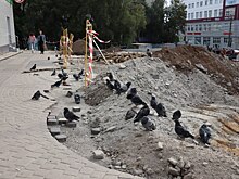 На «Куряночке» рабочие укладывают тротуарную плитку