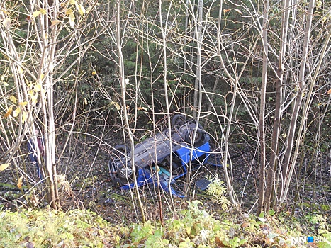 В Нижегородской области автомобилистка улетела в кювет и погибла