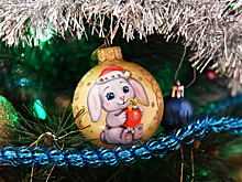 Раскрыт секрет сохранения свежести новогодней елки