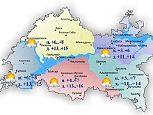 Синоптик сообщил, что туманы в Московском регионе рассеются в ближайшие два часа